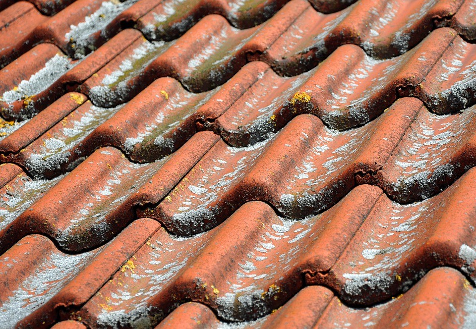 Le cuivre anti-mousse pour une toiture